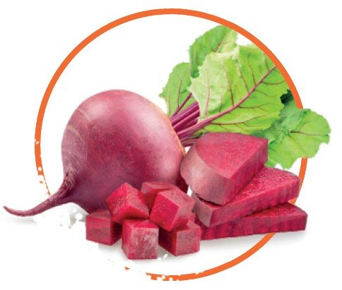 Slozeni_Cervena-repa